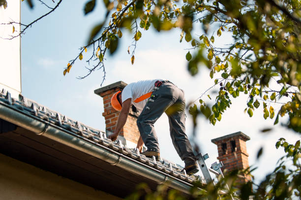 Roof Repair Estimates in Bushland, TX