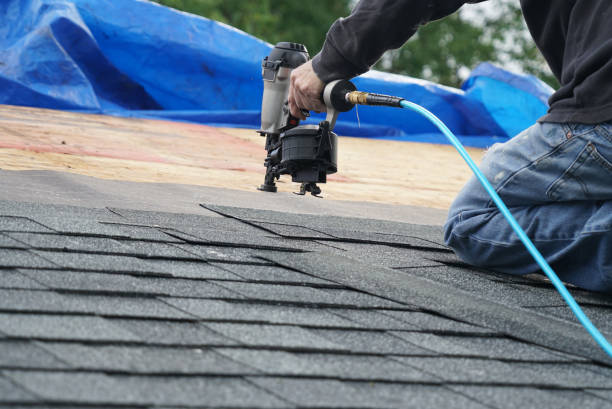 Best Metal Roofing Contractor  in Bushland, TX