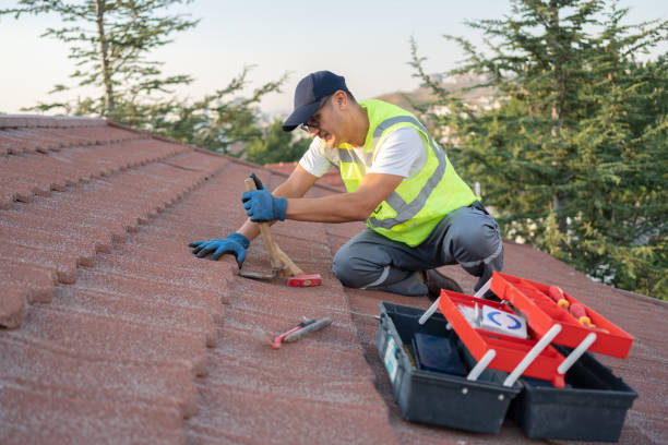 Quick and Trustworthy Emergency Roof Repair Services in Bushland, TX