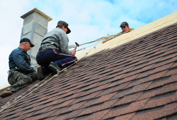 Best Roof Repair Services  in Bushland, TX
