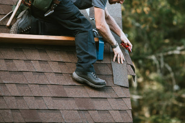 Best Local Roofing Companies  in Bushland, TX